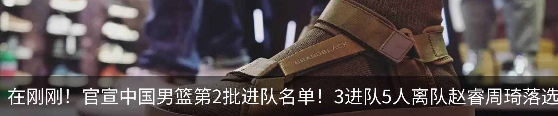 新闻动态