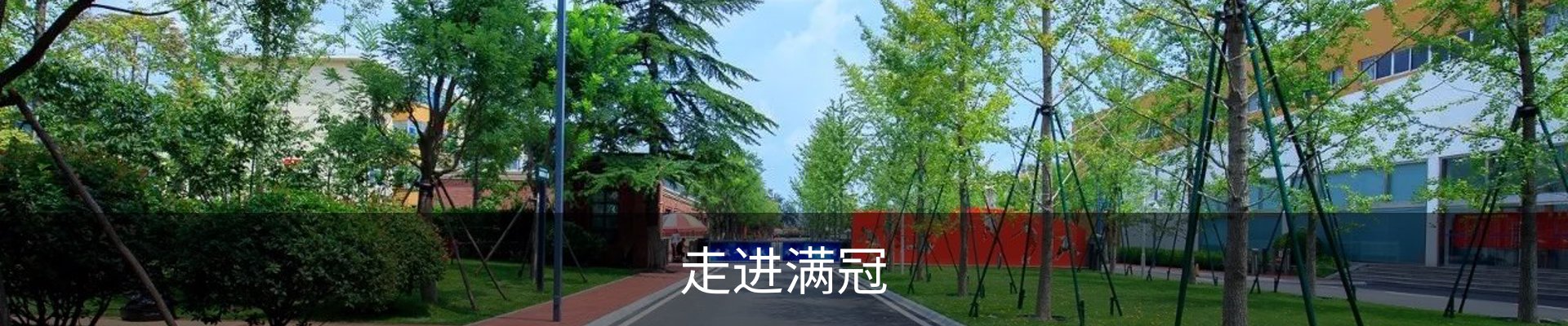 走进满冠