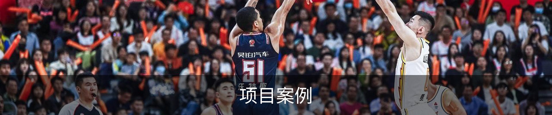 项目案例
